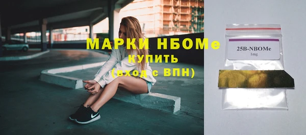 крисы Верхний Тагил