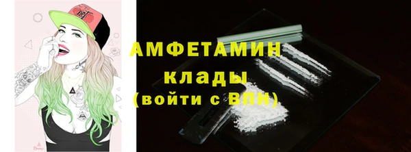 крисы Верхний Тагил
