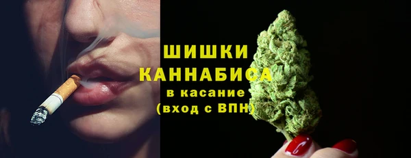 крисы Верхний Тагил