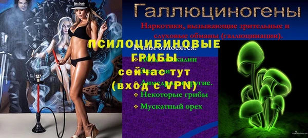 ALPHA PVP Верея