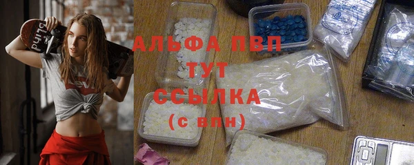 крисы Верхний Тагил