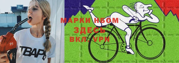 крисы Верхний Тагил