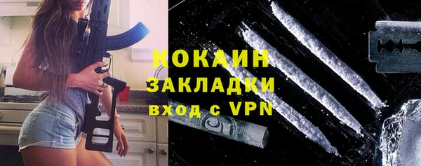 крисы Верхний Тагил