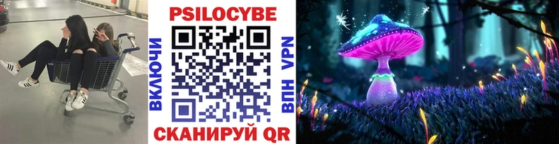 Купить  Торопец  Псилоцибиновые грибы ЛСД 